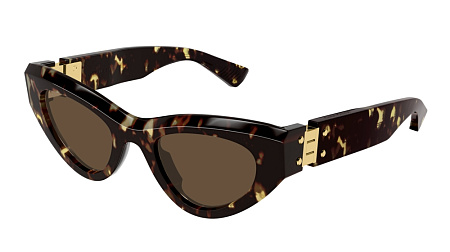 Bottega Veneta BV1142S-002 49 Sunglass HAVANA-HAVANA-BROWN