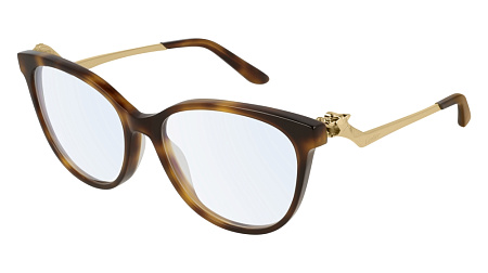 Cartier CT0119O-006 54 Optical Frame HAVANA-GOLD-TRANSPARENT